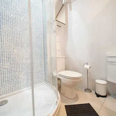 Le Petit Pierre Scize - Quais De Saone Lione